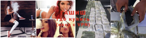 ГАЛЛЮЦИНОГЕННЫЕ ГРИБЫ Аркадак