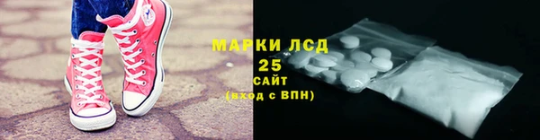 ГАЛЛЮЦИНОГЕННЫЕ ГРИБЫ Аркадак
