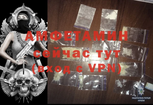 ГАЛЛЮЦИНОГЕННЫЕ ГРИБЫ Аркадак